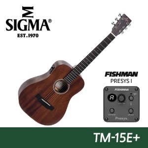 시그마 기타 TM-15E