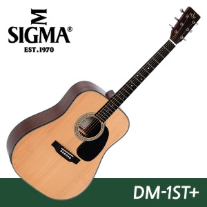 시그마 기타 DM-1