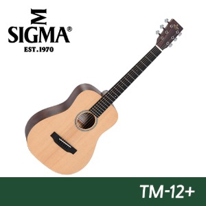 시그마 기타 TM-12