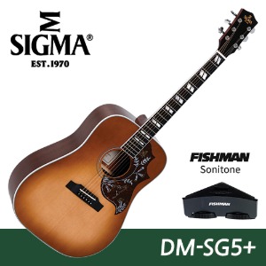 시그마 기타 DM-SG5